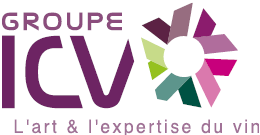 Logo groupe ICV