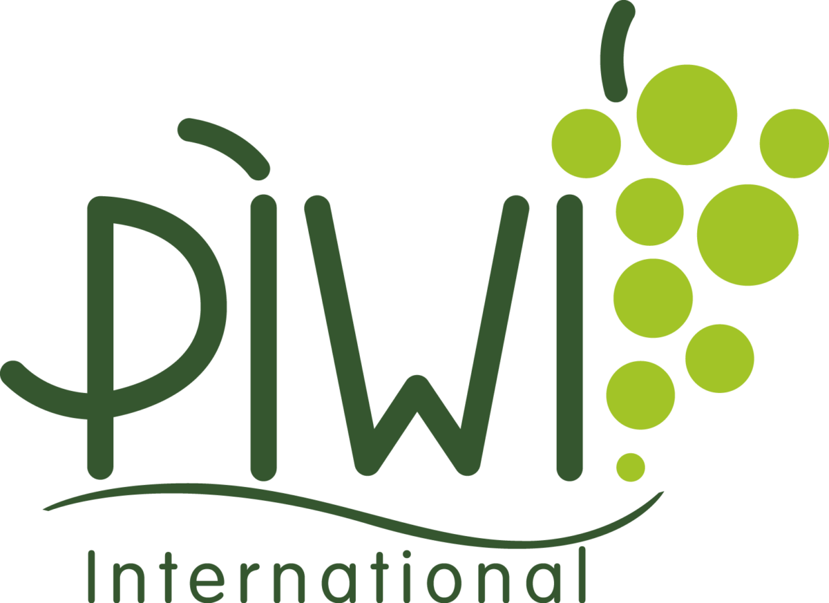 Pw International Piwi 45 Pompons 15 mm   Loisirs Créatifs Vert 