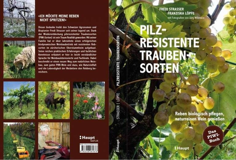PIWI-Buch-Strasser-Cover-768&#215;522
